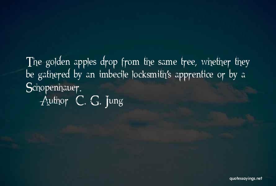 Locksmith Quotes By C. G. Jung