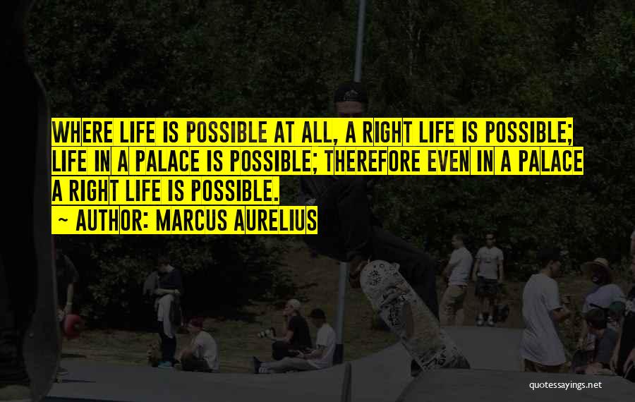 Lodgepole Quotes By Marcus Aurelius