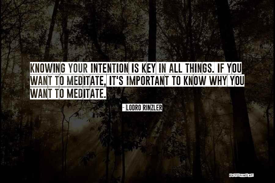 Lodro Quotes By Lodro Rinzler Lodro Quotes By Lodro Rinzler