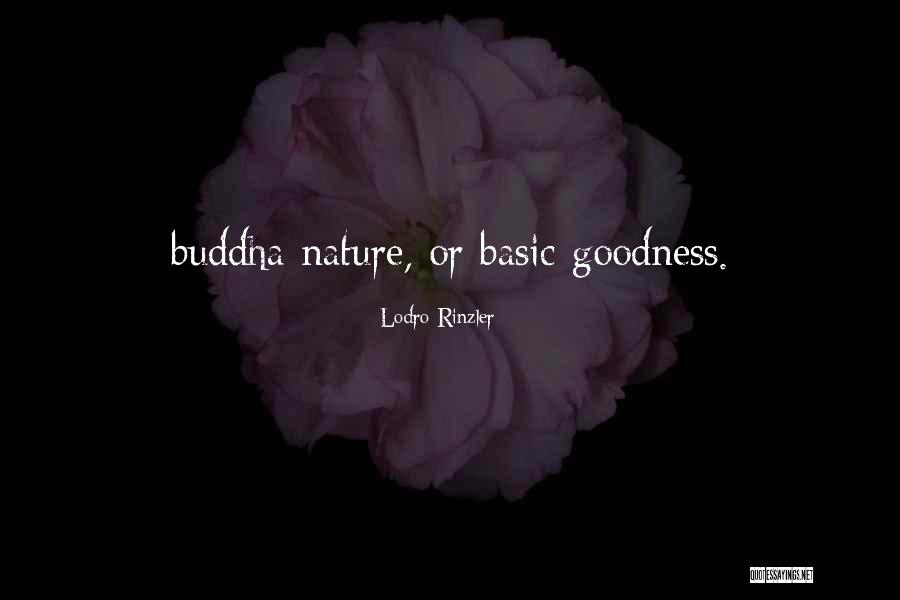 Lodro Quotes By Lodro Rinzler Lodro Quotes By Lodro Rinzler