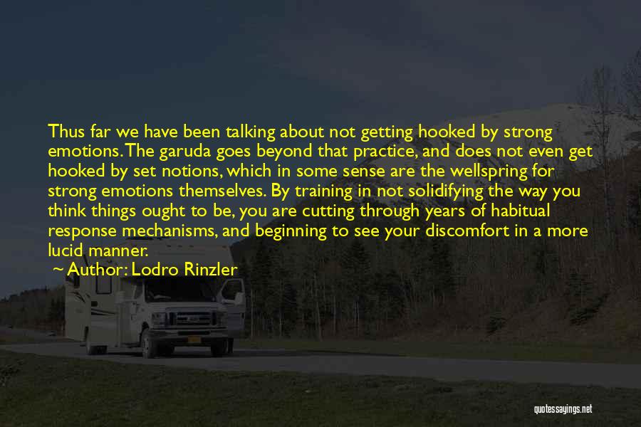 Lodro Rinzler Quotes 1276115