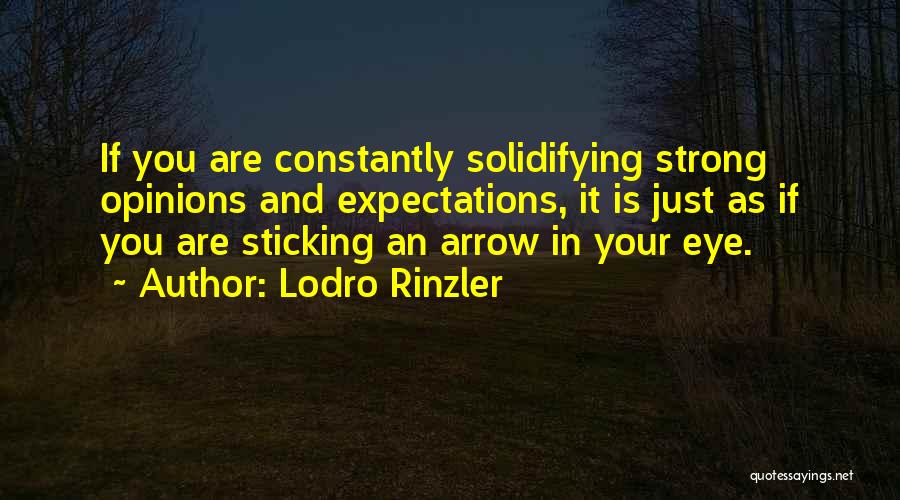 Lodro Rinzler Quotes 1566789