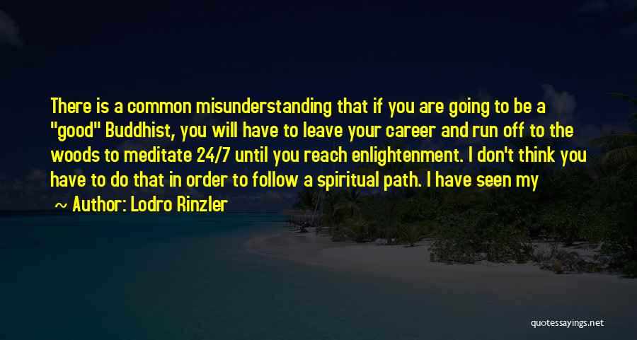 Lodro Rinzler Quotes 1724047