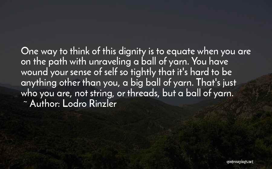 Lodro Rinzler Quotes 525908