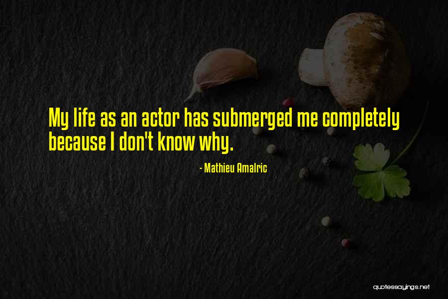Loed Quotes By Mathieu Amalric Loed Quotes By Mathieu Amalric