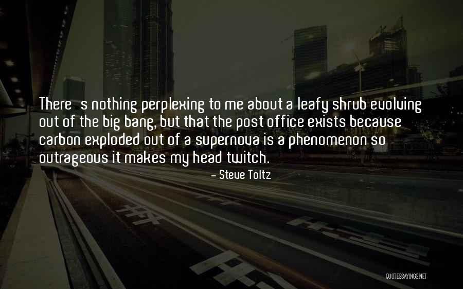 Loews Portofino Quotes By Steve Toltz Loews Portofino Quotes By Steve Toltz