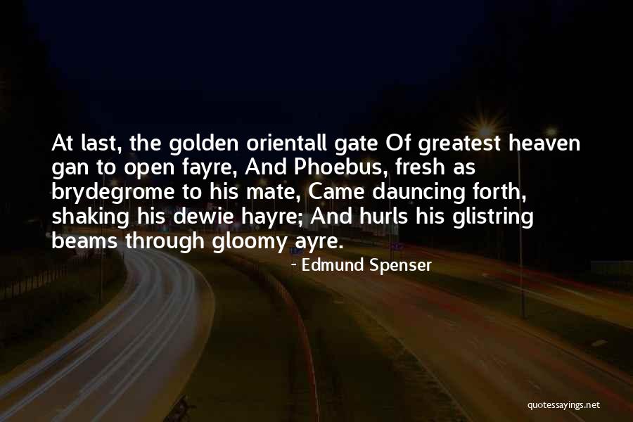 Lofgren Congress Quotes By Edmund Spenser