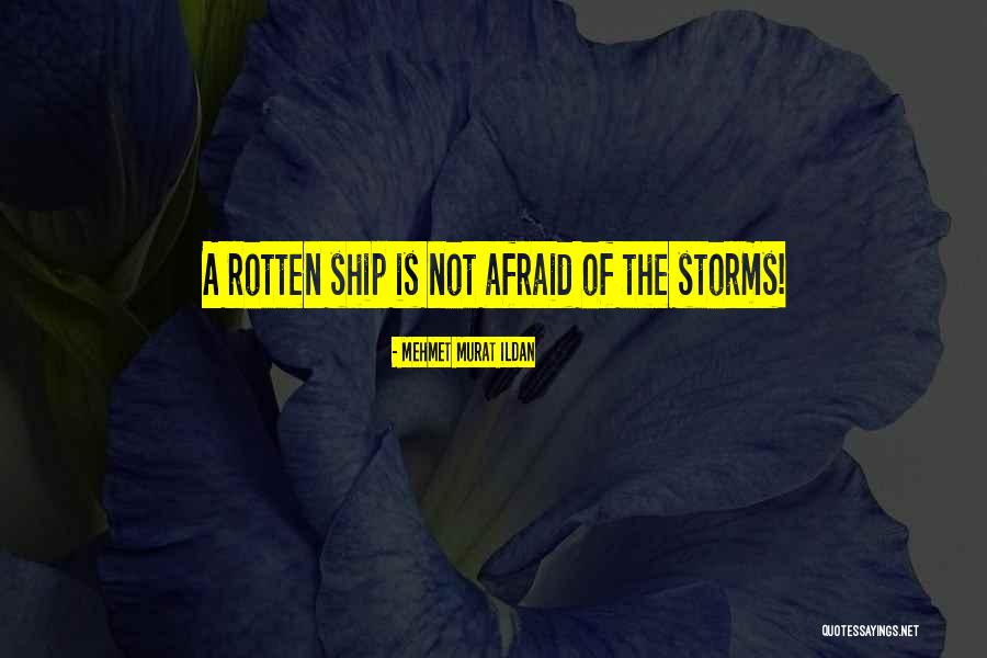 Lofquist Five Es Quotes By Mehmet Murat Ildan Lofquist Five Es Quotes By Mehmet Murat Ildan