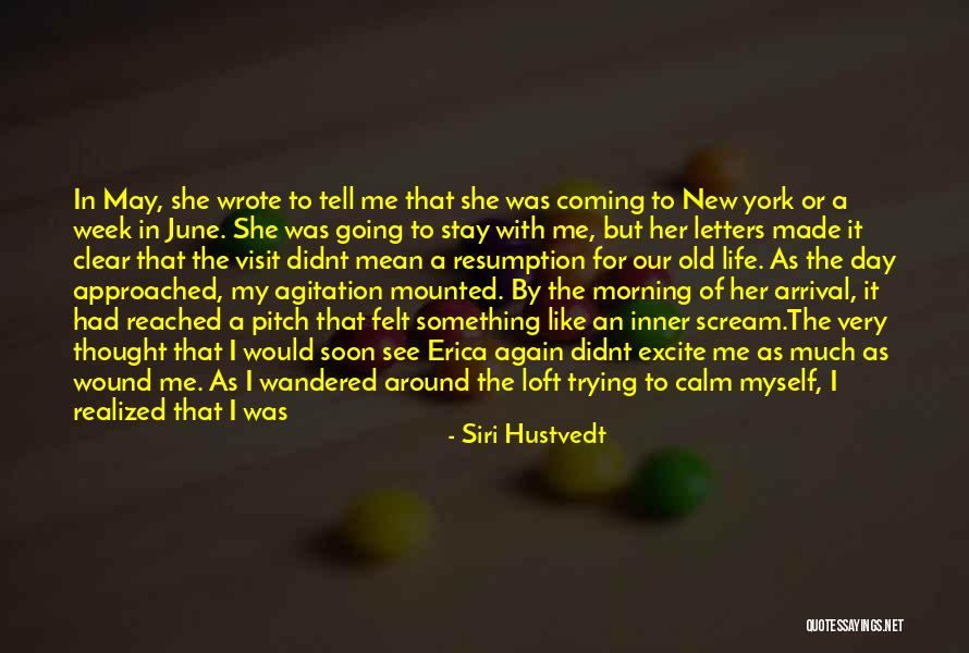 Loft Quotes By Siri Hustvedt