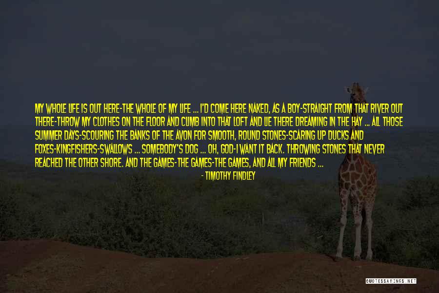 Loft Quotes By Timothy Findley Loft Quotes By Timothy Findley