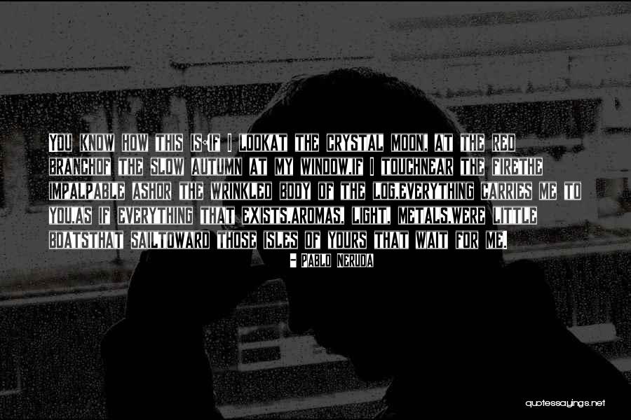 Log Quotes By Pablo Neruda Log Quotes By Pablo Neruda