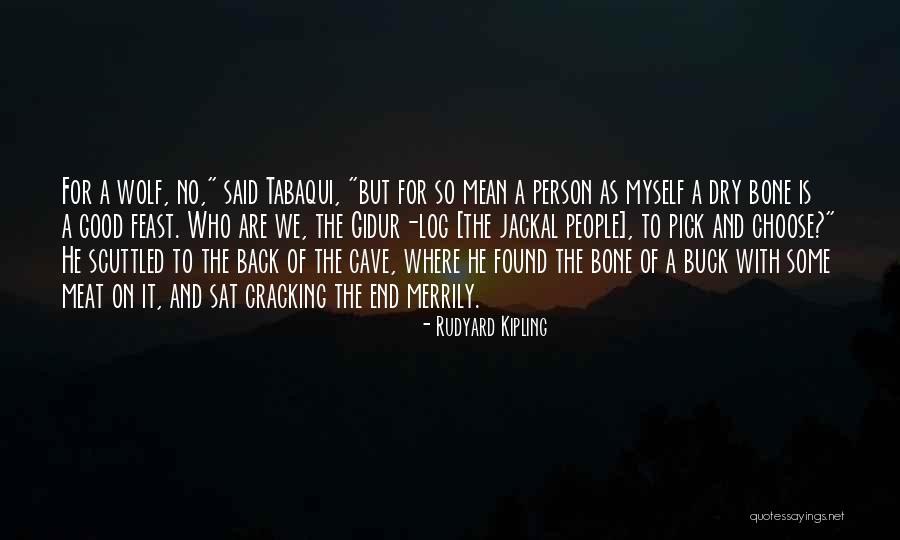 Log Quotes By Rudyard Kipling Log Quotes By Rudyard Kipling