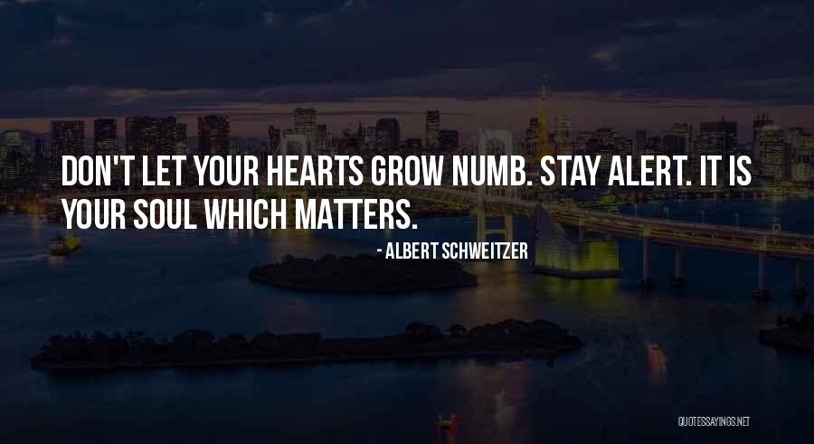 Logarithms Examples Quotes By Albert Schweitzer