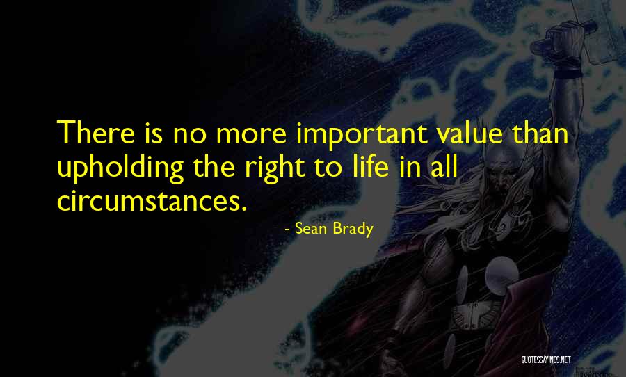 Loggerhead Turtle Quotes By Sean Brady Loggerhead Turtle Quotes By Sean Brady
