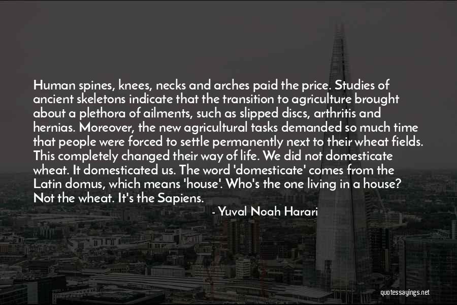 Loggins Messina Quotes By Yuval Noah Harari Loggins Messina Quotes By Yuval Noah Harari