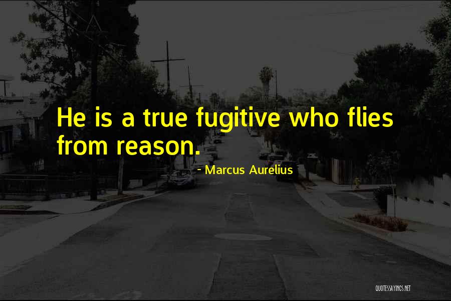 Logic And Reason Quotes By Marcus Aurelius Logic And Reason Quotes By Marcus Aurelius