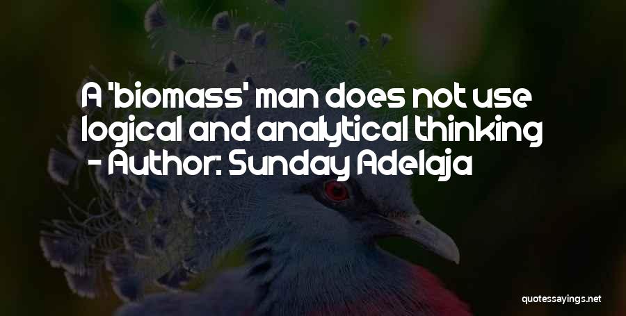 Logical Thinking Quotes By Sunday Adelaja