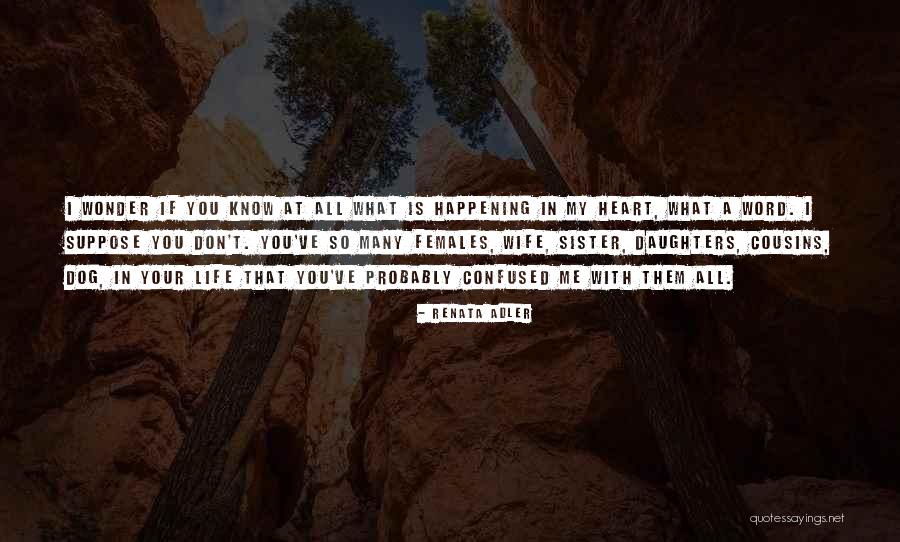Logicare Eau Quotes By Renata Adler Logicare Eau Quotes By Renata Adler
