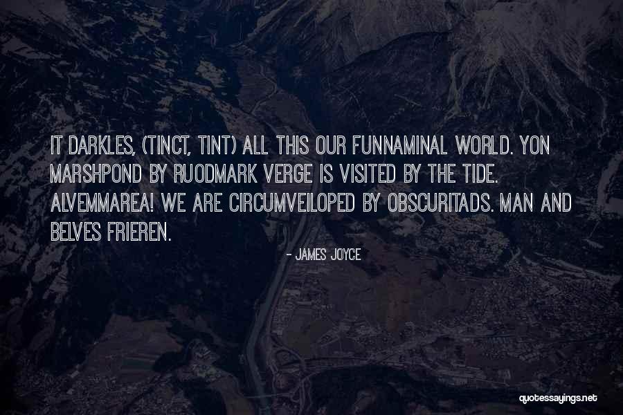 Logistical Solutions Quotes By James Joyce Logistical Solutions Quotes By James Joyce