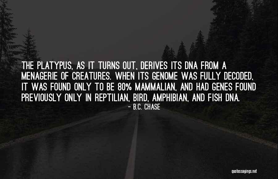 Logreen Quotes By B.C. Chase Logreen Quotes By B.C. Chase