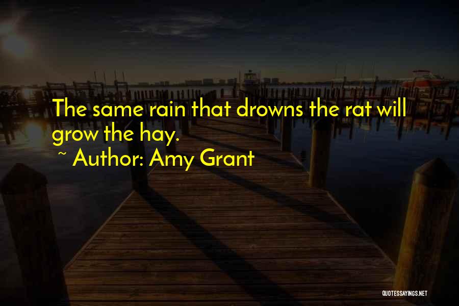 Logros Quotes By Amy Grant