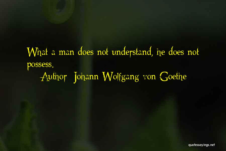 Logtek Quotes By Johann Wolfgang Von Goethe