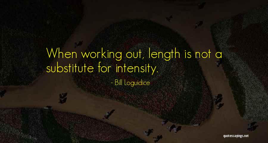 Loguidice Quotes By Bill Loguidice