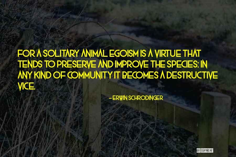Lohans Centra Quotes By Erwin Schrodinger Lohans Centra Quotes By Erwin Schrodinger