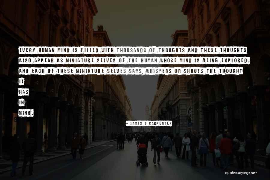 Loiacono Skillman Quotes By James T Carpenter Loiacono Skillman Quotes By James T Carpenter