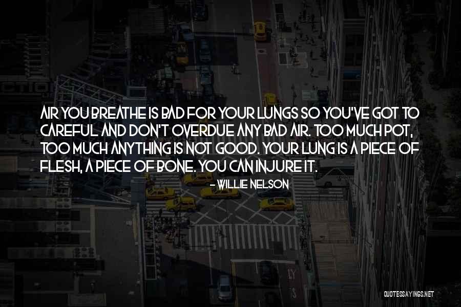 Loibner Gruner Quotes By Willie Nelson Loibner Gruner Quotes By Willie Nelson
