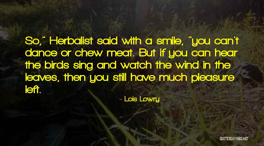 Lois Lowry Quotes 1291954