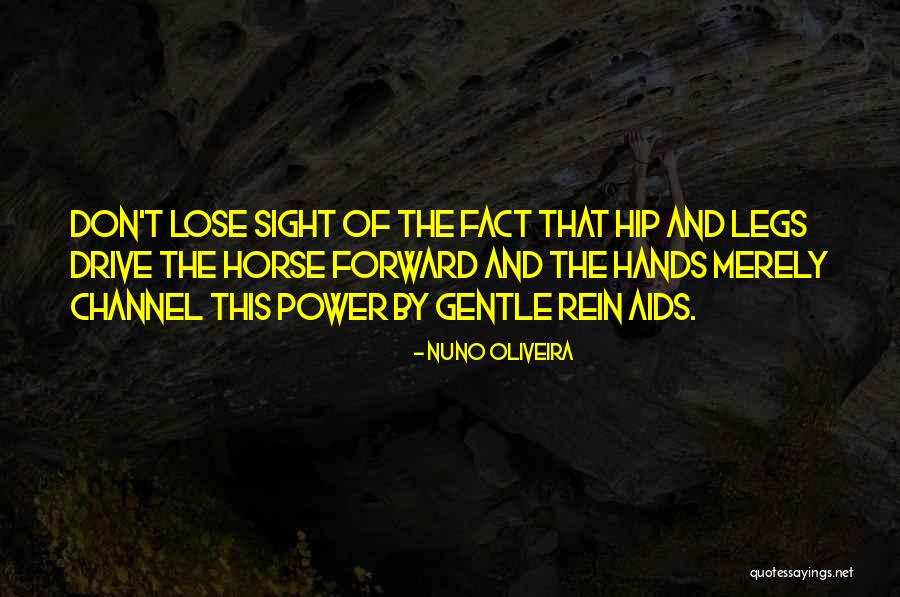 Loix Et Savons Quotes By Nuno Oliveira Loix Et Savons Quotes By Nuno Oliveira