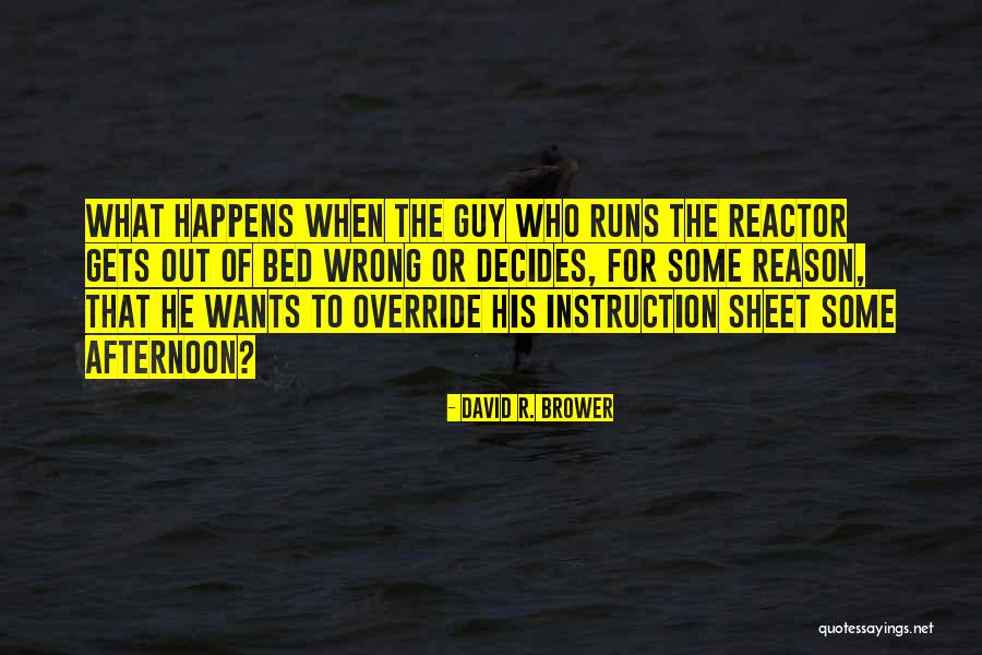 Loizides Quotes By David R. Brower Loizides Quotes By David R. Brower