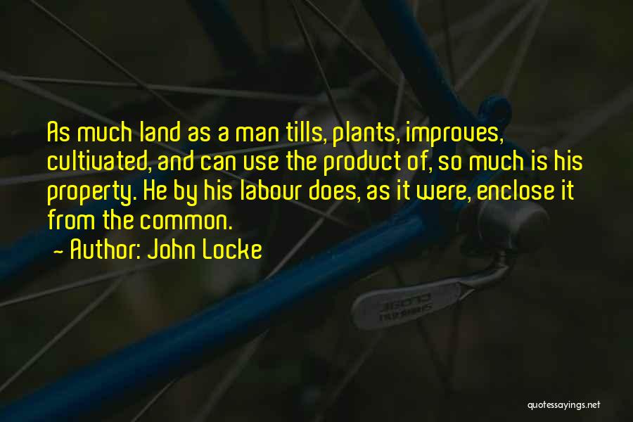 Lollapalooza Crossword Quotes By John Locke