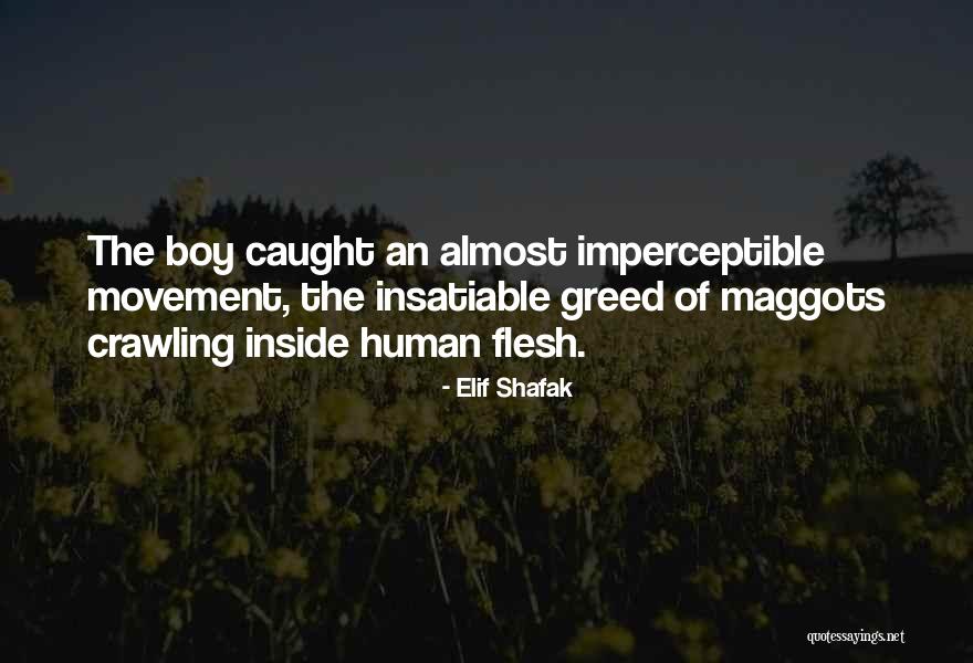 Lolosmithian Quotes By Elif Shafak Lolosmithian Quotes By Elif Shafak