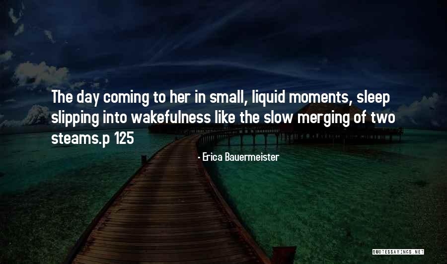 Lolskill Lan Quotes By Erica Bauermeister Lolskill Lan Quotes By Erica Bauermeister