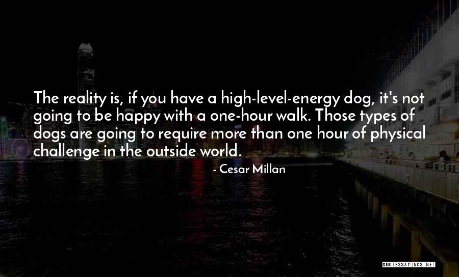 Lommy Quotes By Cesar Millan Lommy Quotes By Cesar Millan