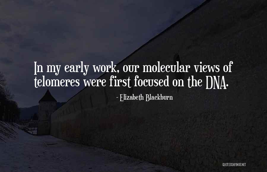 Lomnicki Kiseljak Quotes By Elizabeth Blackburn Lomnicki Kiseljak Quotes By Elizabeth Blackburn