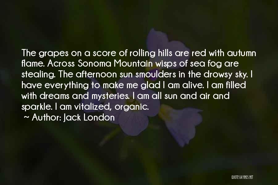 London Fog Quotes By Jack London