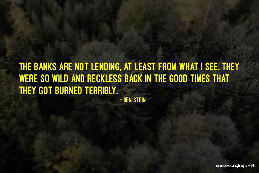Lone Ranger And Tonto Quotes By Ben Stein Lone Ranger And Tonto Quotes By Ben Stein