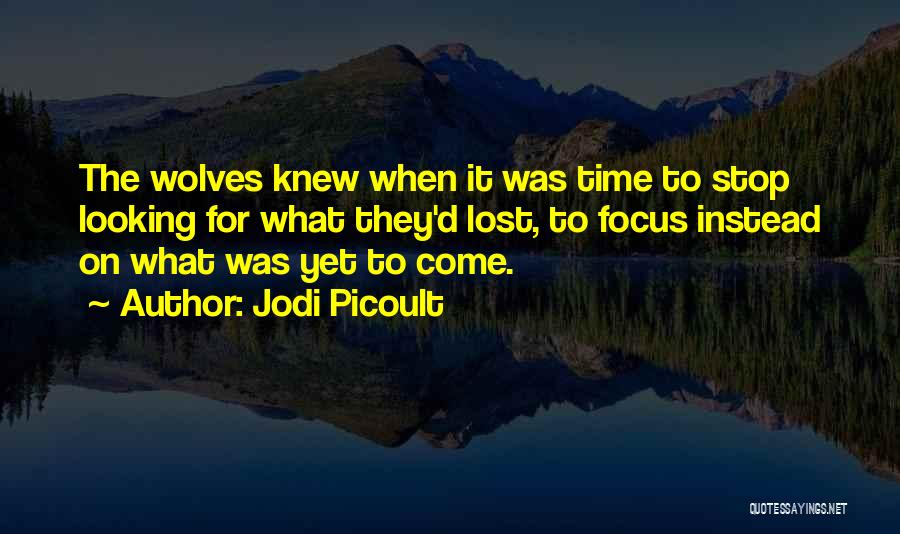 Lone Wolf Life Quotes By Jodi Picoult