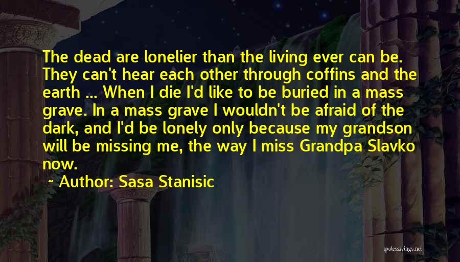 Lonelier Quotes By Sasa Stanisic