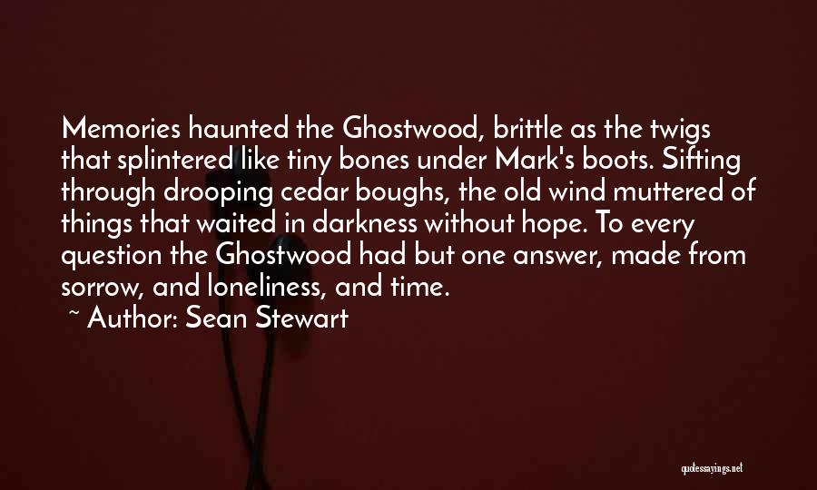 Loneliness And Darkness Quotes By Sean Stewart