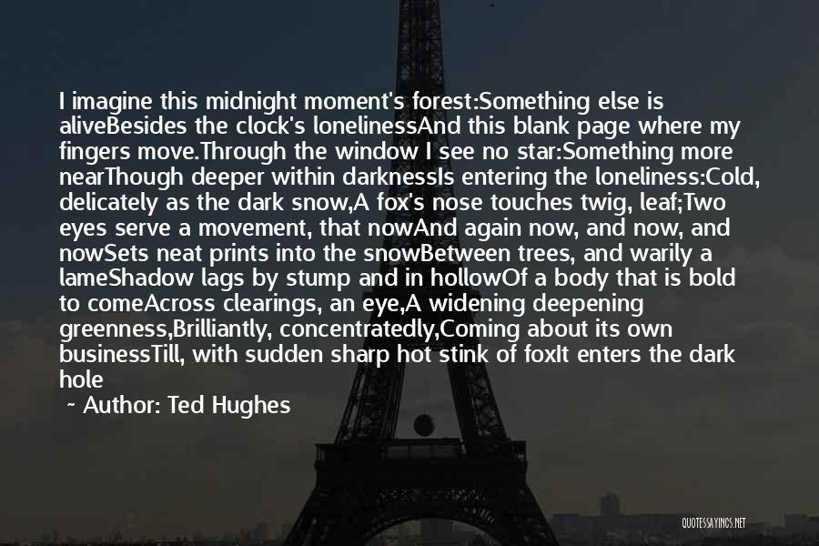 Loneliness And Darkness Quotes By Ted Hughes