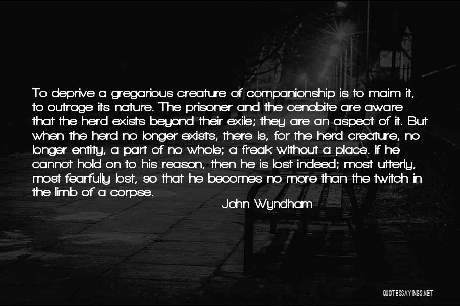 Loneliness And Nature Quotes By John Wyndham