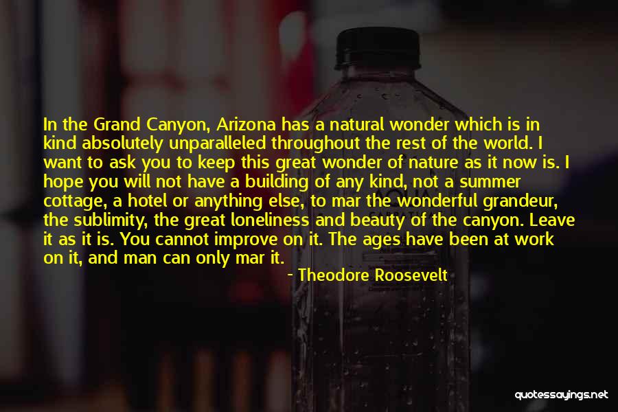 Loneliness And Nature Quotes By Theodore Roosevelt