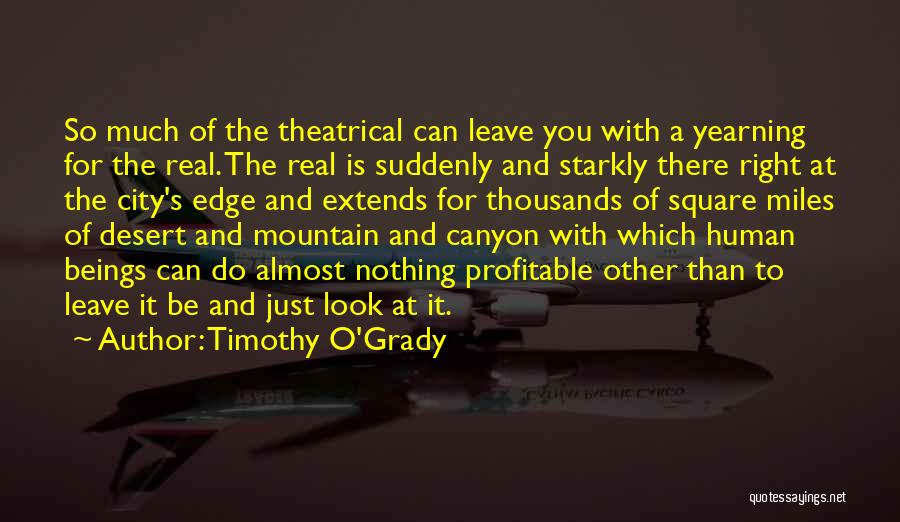 Loneliness And Quotes By Timothy O'Grady