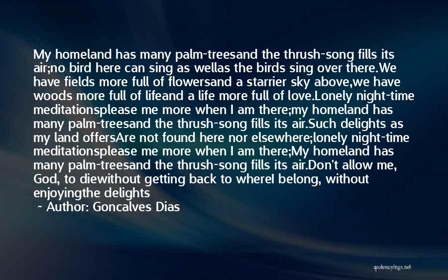 Lonely Night Without You Quotes By Goncalves Dias