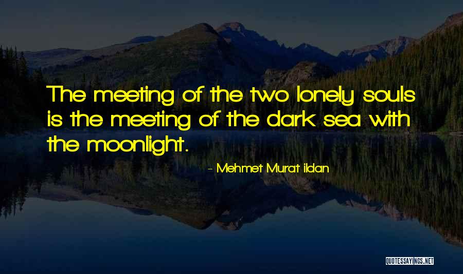 Lonely Souls Quotes By Mehmet Murat Ildan