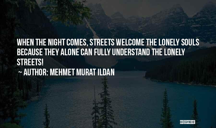 Lonely Souls Quotes By Mehmet Murat Ildan